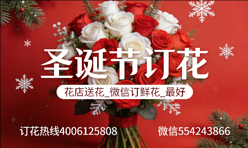 南阳花店送花_微信订鲜花_圣诞节订花_最好? 南阳花店